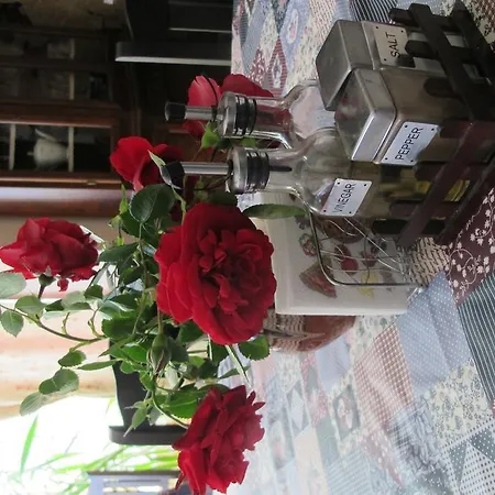 Guest house Velena Saints Constantine and Helena