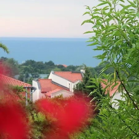 Guest house Velena 3*