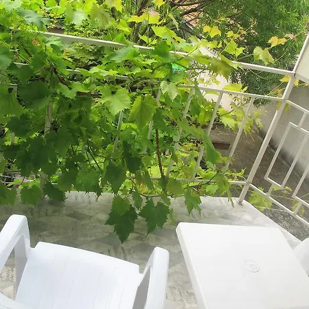 Guest house Velena 3*