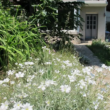 Velena Guest house